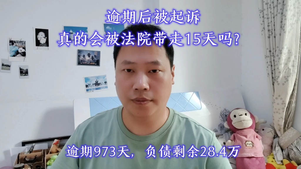 逾期后被起诉,真的会被法院带走15天吗?哔哩哔哩bilibili