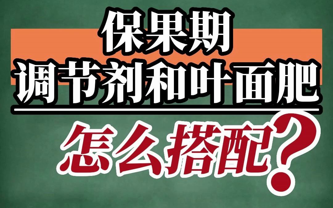 保果喷赤霉酸920,应该和什么调节剂、叶面肥混用,保果效果更好? #保果 #赤霉素 #调节剂 #叶面肥哔哩哔哩bilibili