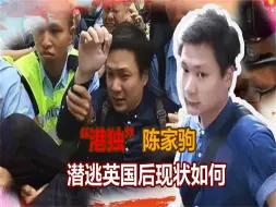 Descargar video: 港独陈家驹：叫嚣让香港重归英国，潜逃英国后现状如何？