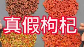 熬夜泡的枸杞居然是假的！