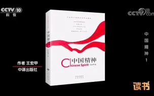 【读书】王宏甲《中国精神》【4集全】