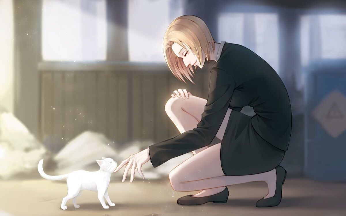 全职猎人:派克诺坦