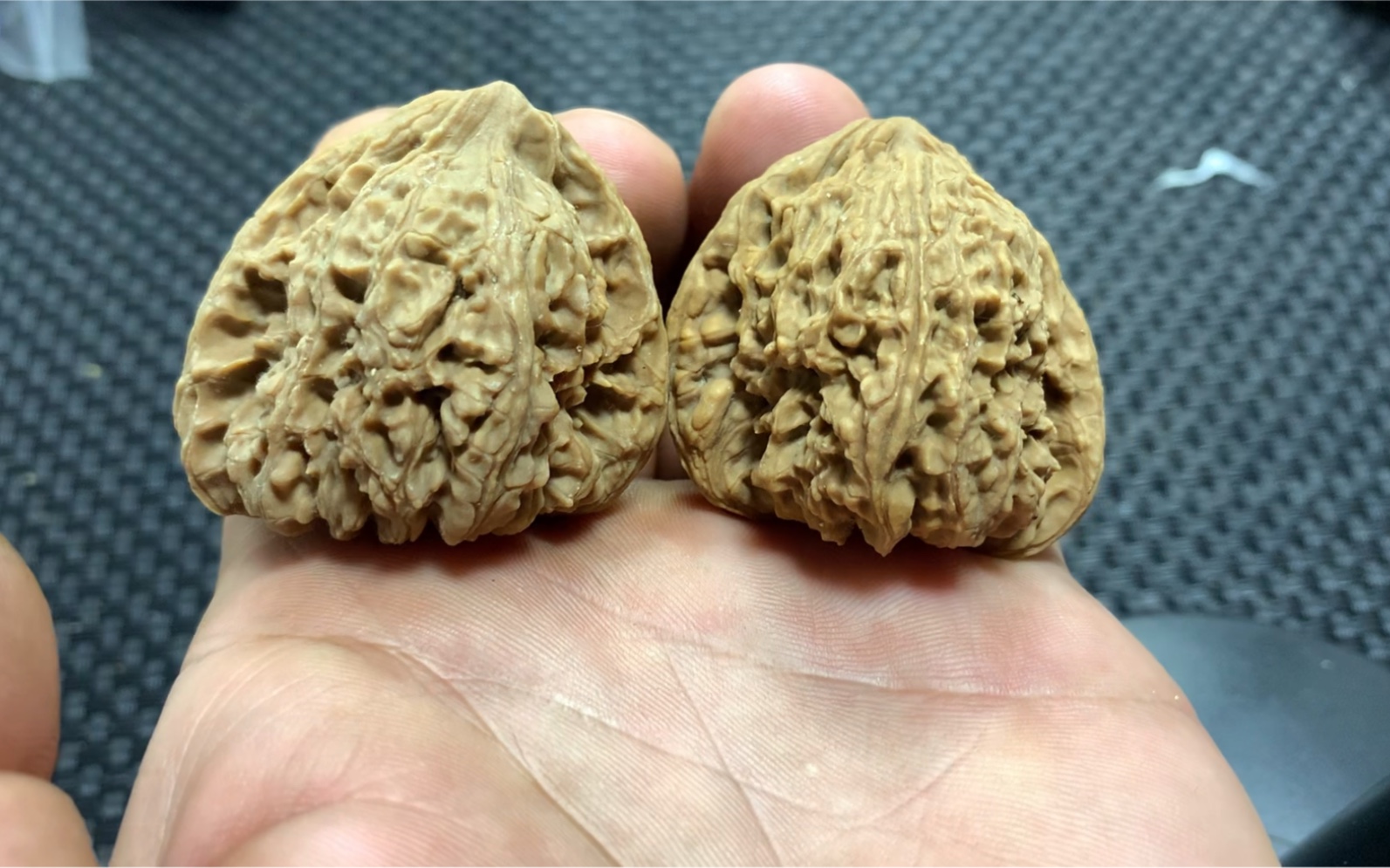 无比巨丑的顺歪南将石核桃十南九歪呀感觉配对不错