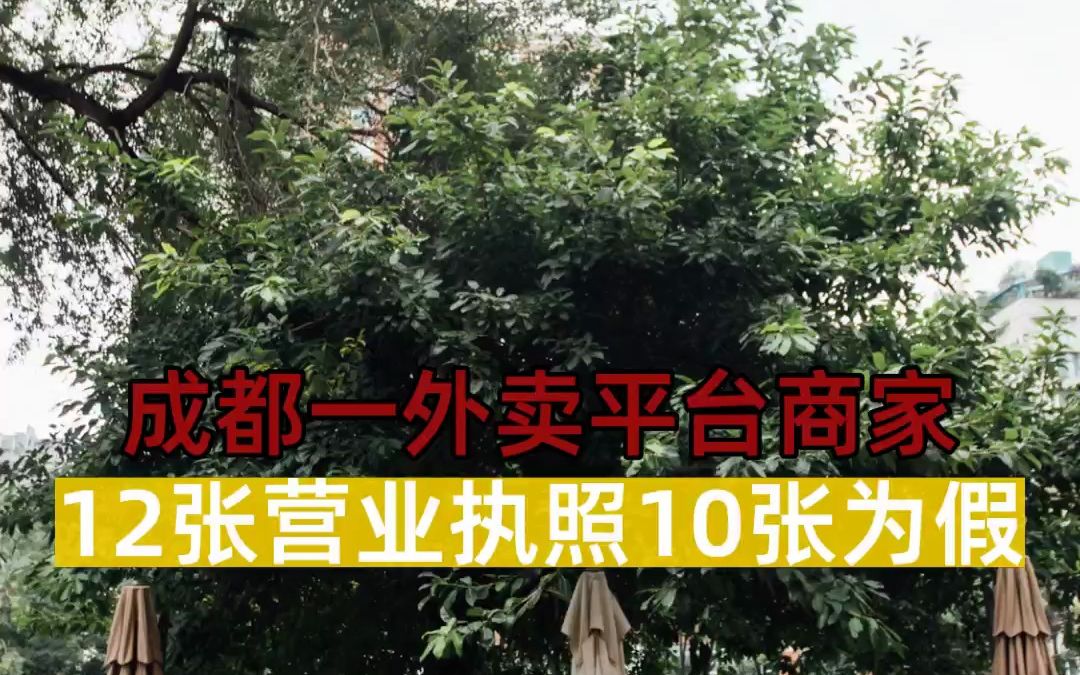 成都一外卖平台商家12张营业执照10张为假哔哩哔哩bilibili