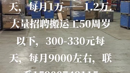 浦东机场大量招聘高位叉车和搬运工15900748115哔哩哔哩bilibili