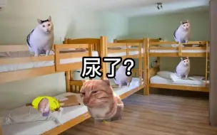 Download Video: 【猫meme】女大学生宿舍手撕极品室友竟成为奇怪的宿舍楼传说事件