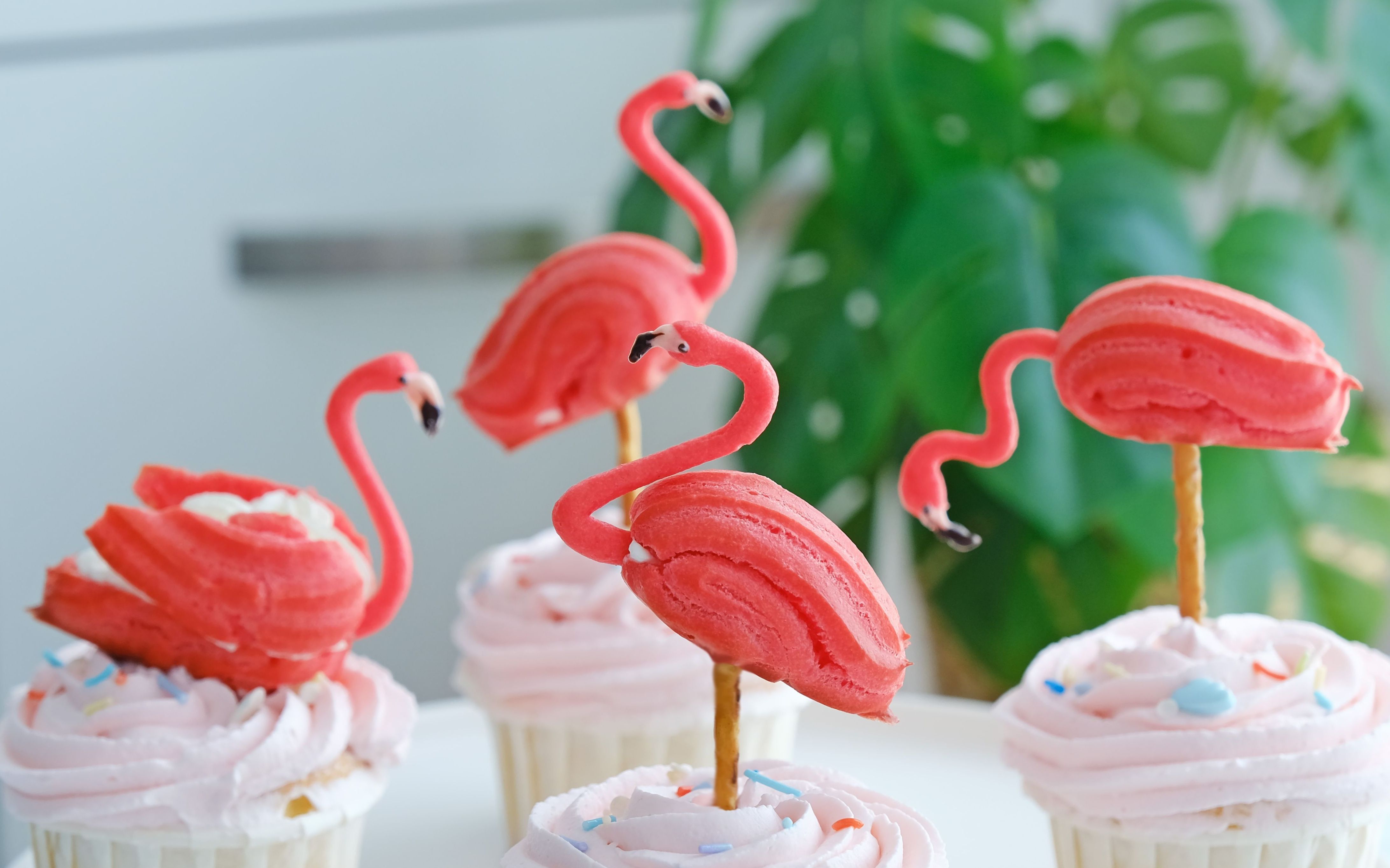 活动作品这大概是全网最像泡芙的火烈鸟了吧