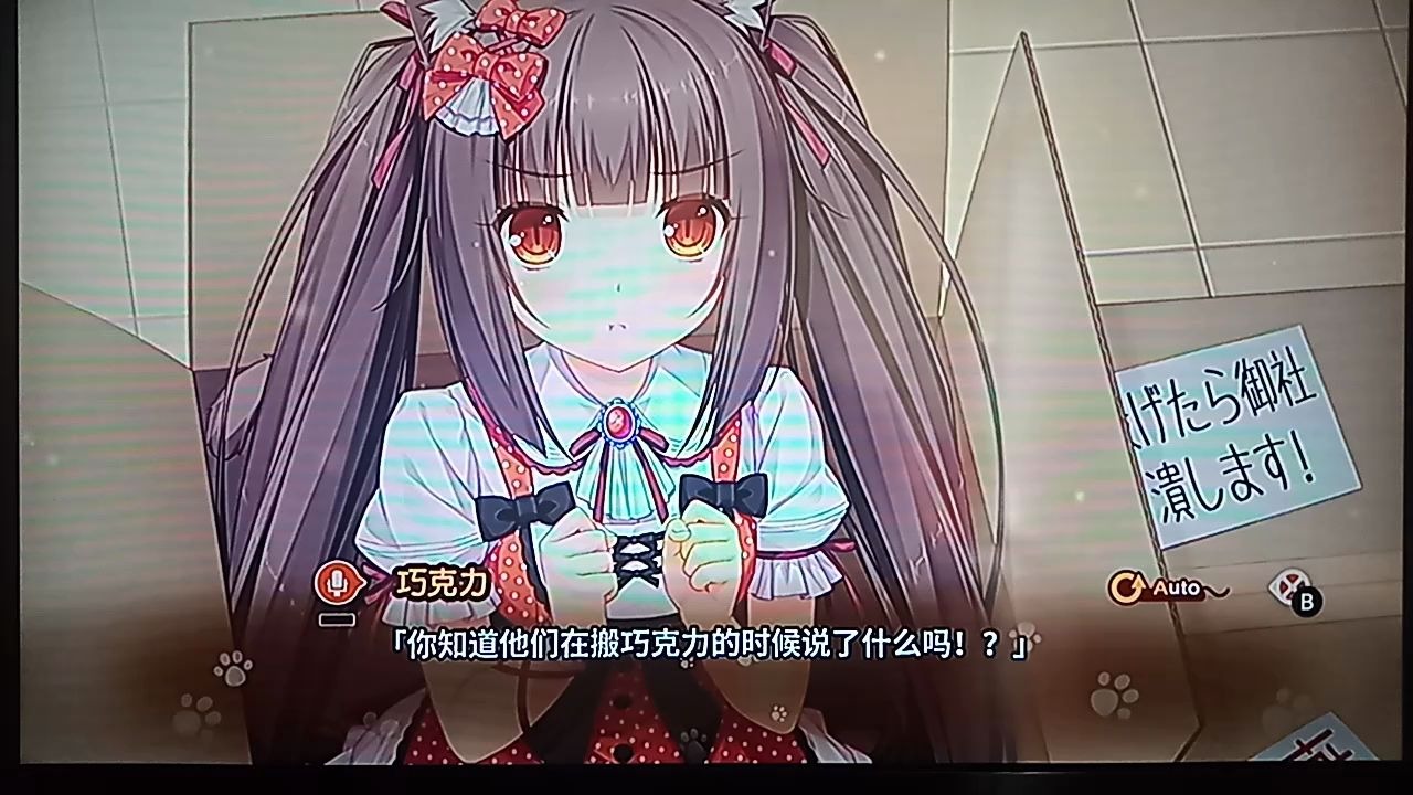 NS《猫娘乐园》中文版哔哩哔哩bilibili