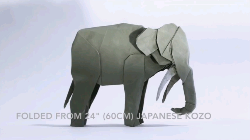 神谷哲史大象折纸教程