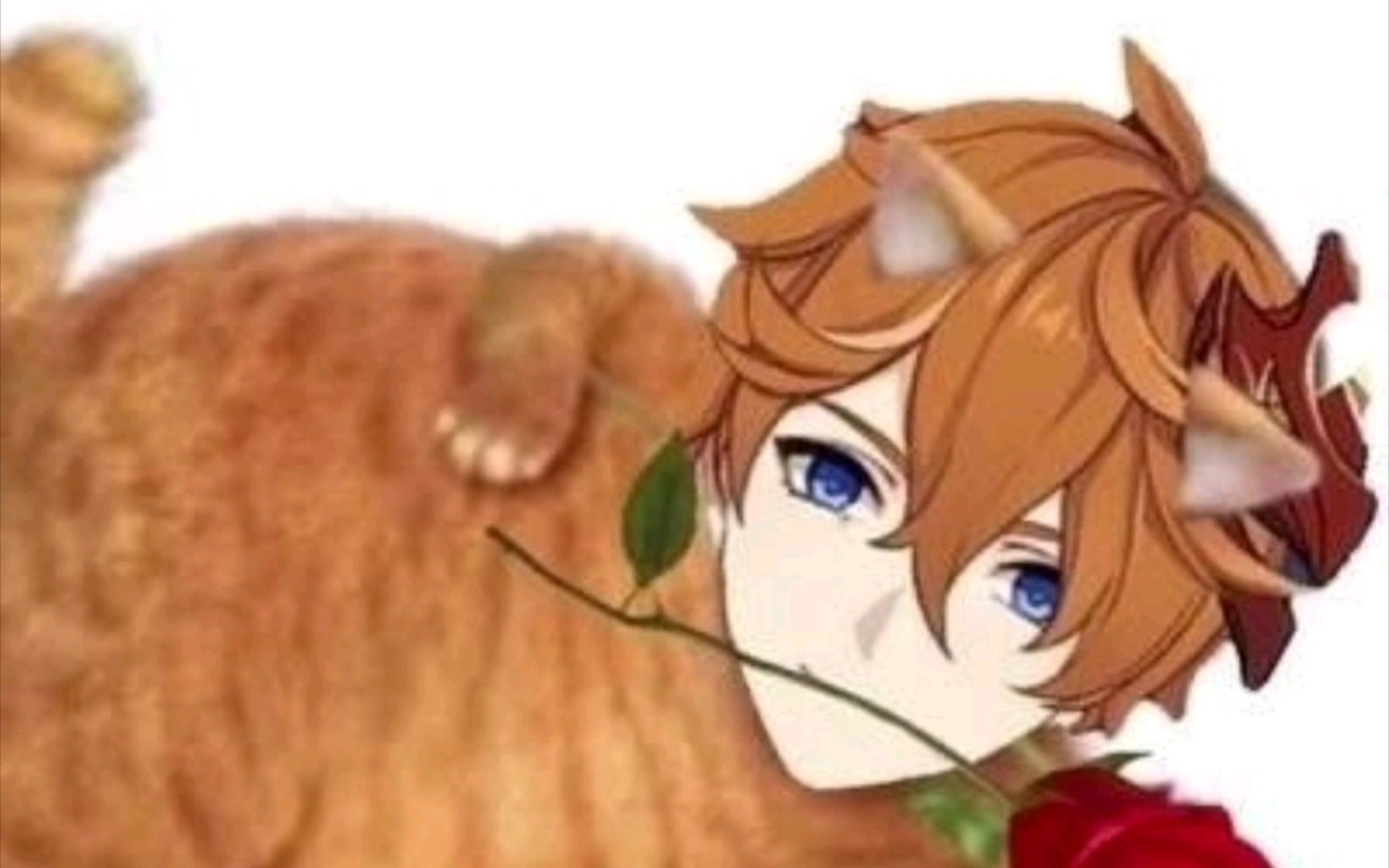 女人,你引起了我的注意～【原神】草图合集06