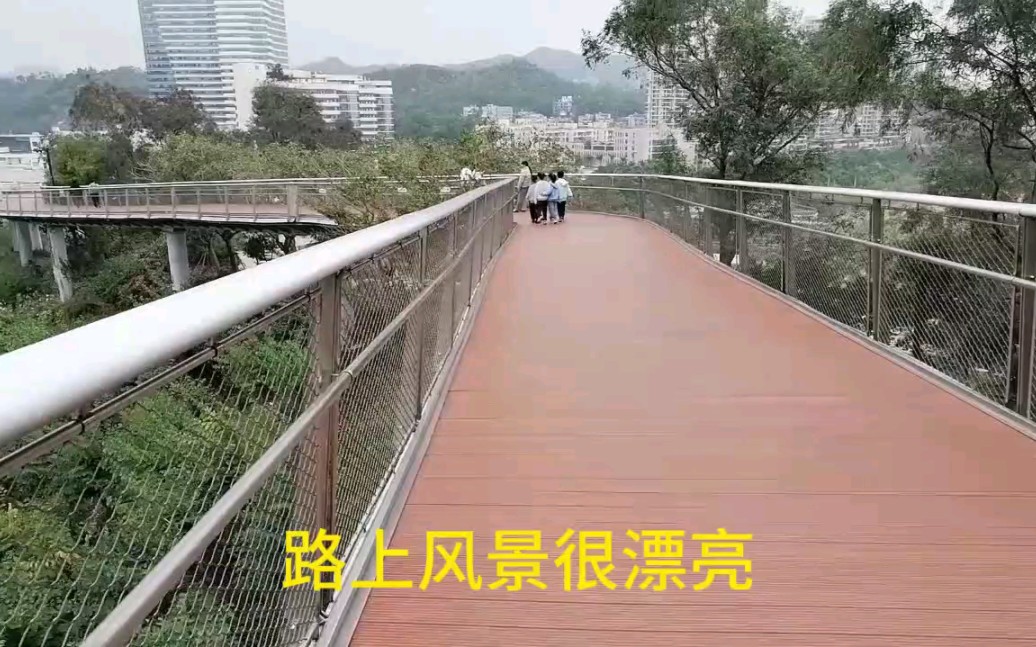 [图]离职前走完珠海山中云道，一路上风景很美