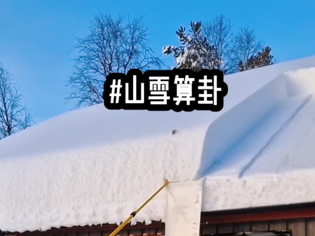 茗《山雪算卦》卦不落空,我在国外算卦…哔哩哔哩bilibili