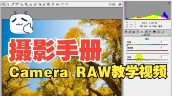 Download Video: 单反摄影手册——Camera RAW教学视频