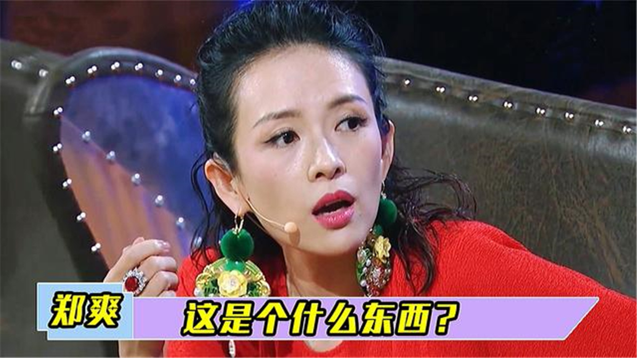 那些年郑爽的发飙行为,章子怡当众扔鞋怒怼郑爽,胡彦斌这样评价_哔哩