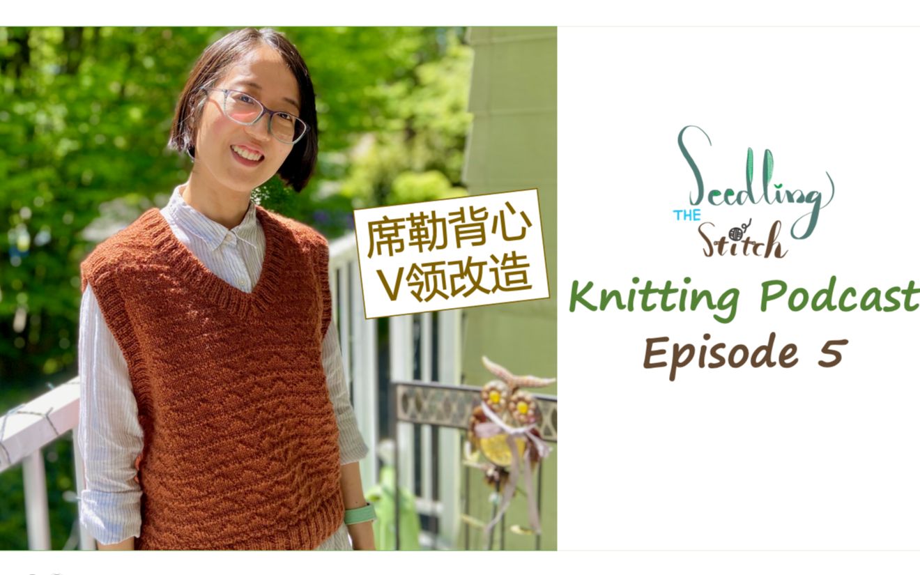 Knitting Podcast | 棒针背心圆领改V领、东海绘里香编织书、设得兰羊毛线//Seedling Stitch【英文】Ep.5哔哩哔哩bilibili