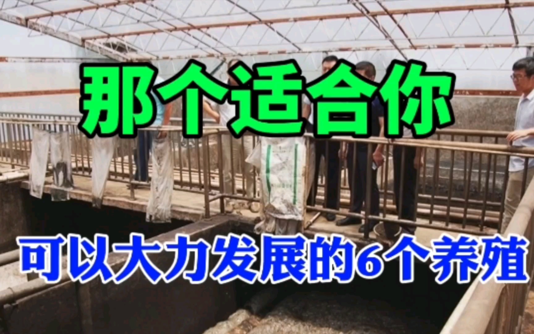 未来5年养殖什么最赚钱?不是养猪牛羊,也不是鸡鸭,而是这6种哔哩哔哩bilibili