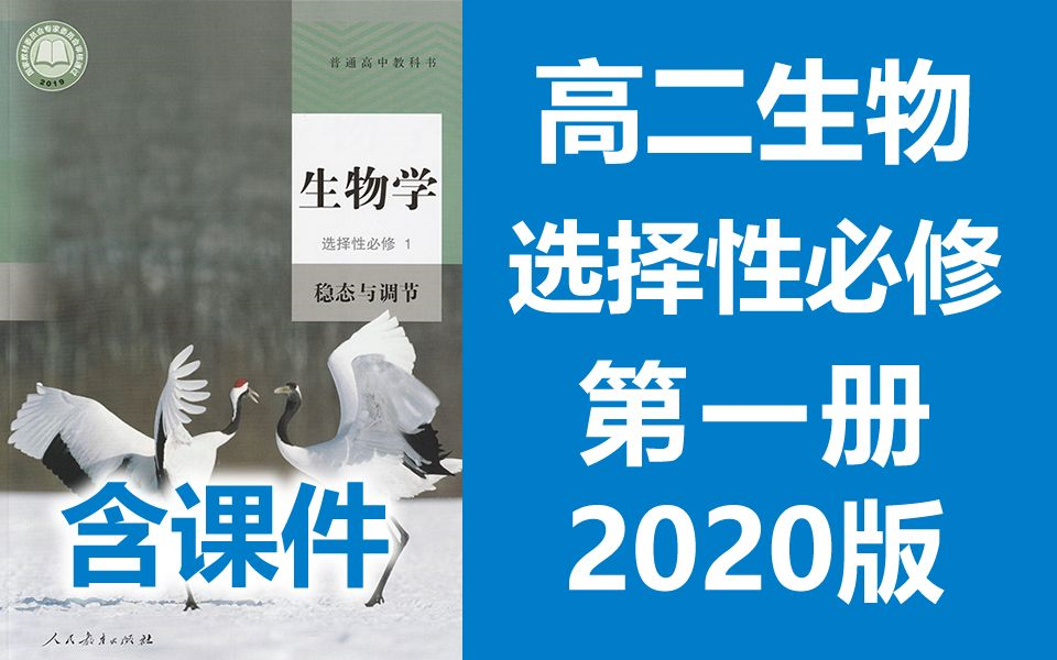 [图]2021新版 高二生物 选择性必修一 稳态与调节 2020新人教版 部编版统编版高中生物必选一生物2019新教材新课标高二生物上册生物学