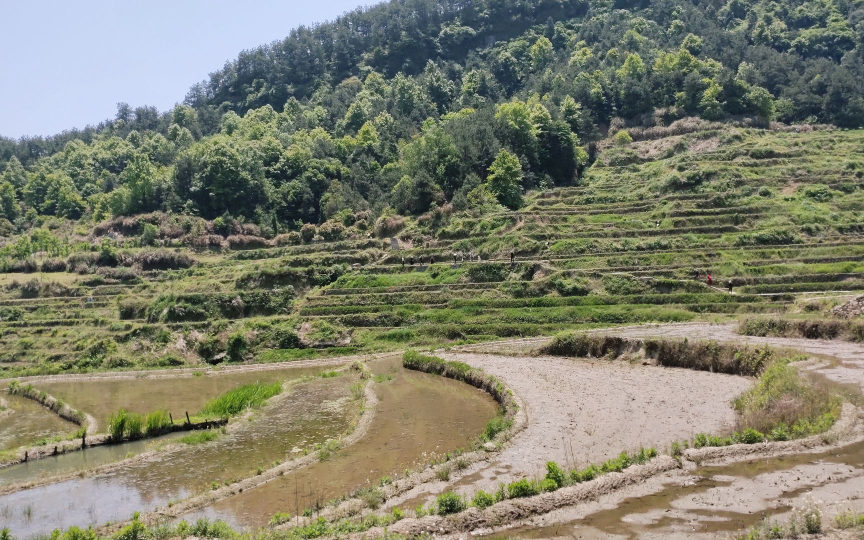 [图]【万物皆可POV】雾云山梯田步道 前方展望 前有黄陂云雾山 后有蕲春雾云山