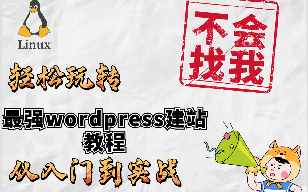 零基础带你轻松玩转wordpress建站,0基础轻松上手(学不会找我)哔哩哔哩bilibili