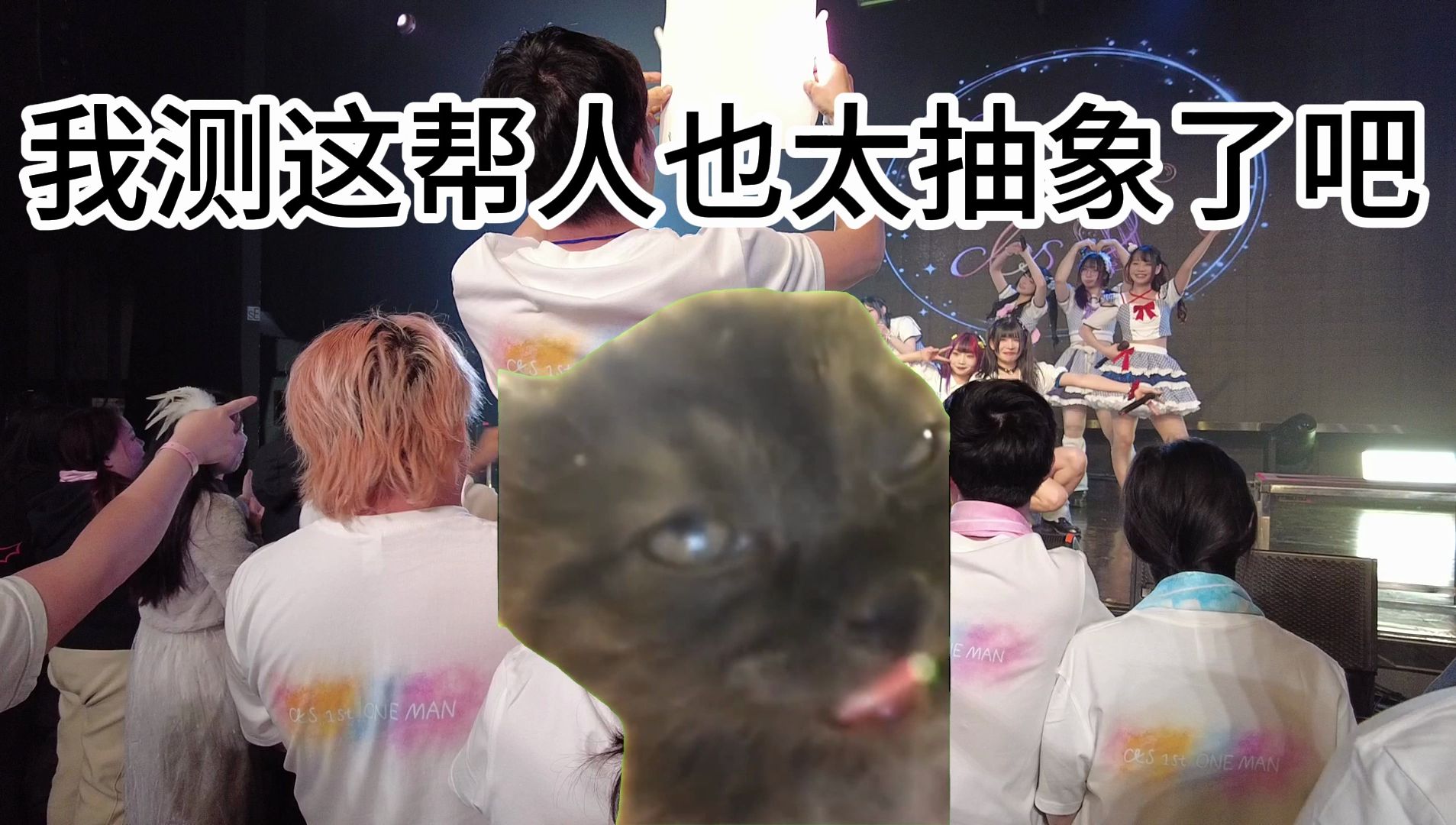 [图]【猫meme】关于一次非常有趣的地下偶像演出的记录