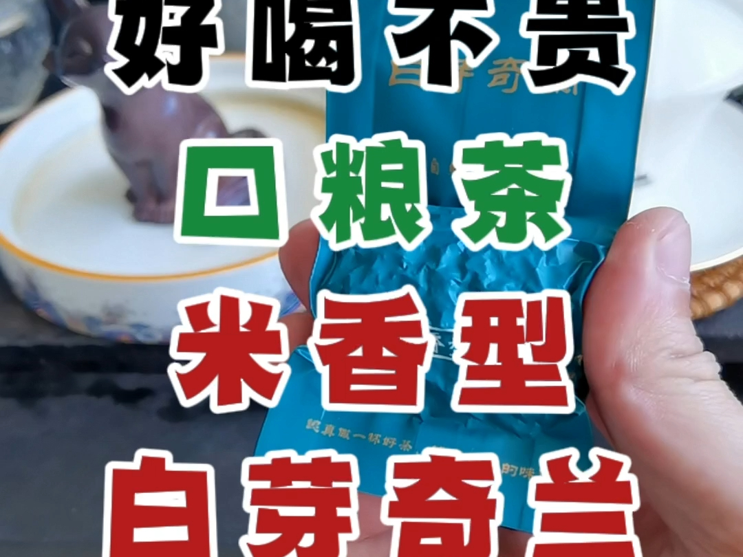 挑战100款好喝不贵的口粮茶之米香型白芽奇兰哔哩哔哩bilibili