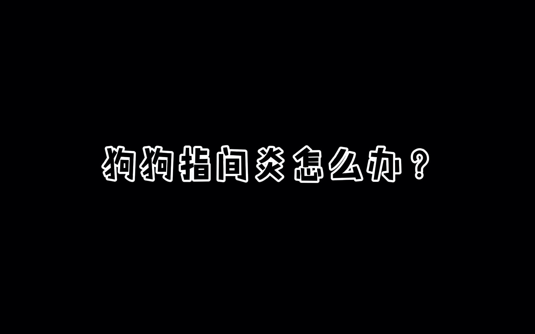 狗狗趾间炎咋整哔哩哔哩bilibili