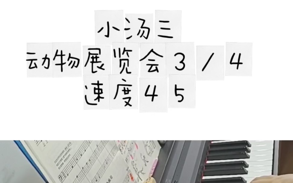 小汤三 动物展览会 速度45_哔哩哔哩_bilibili