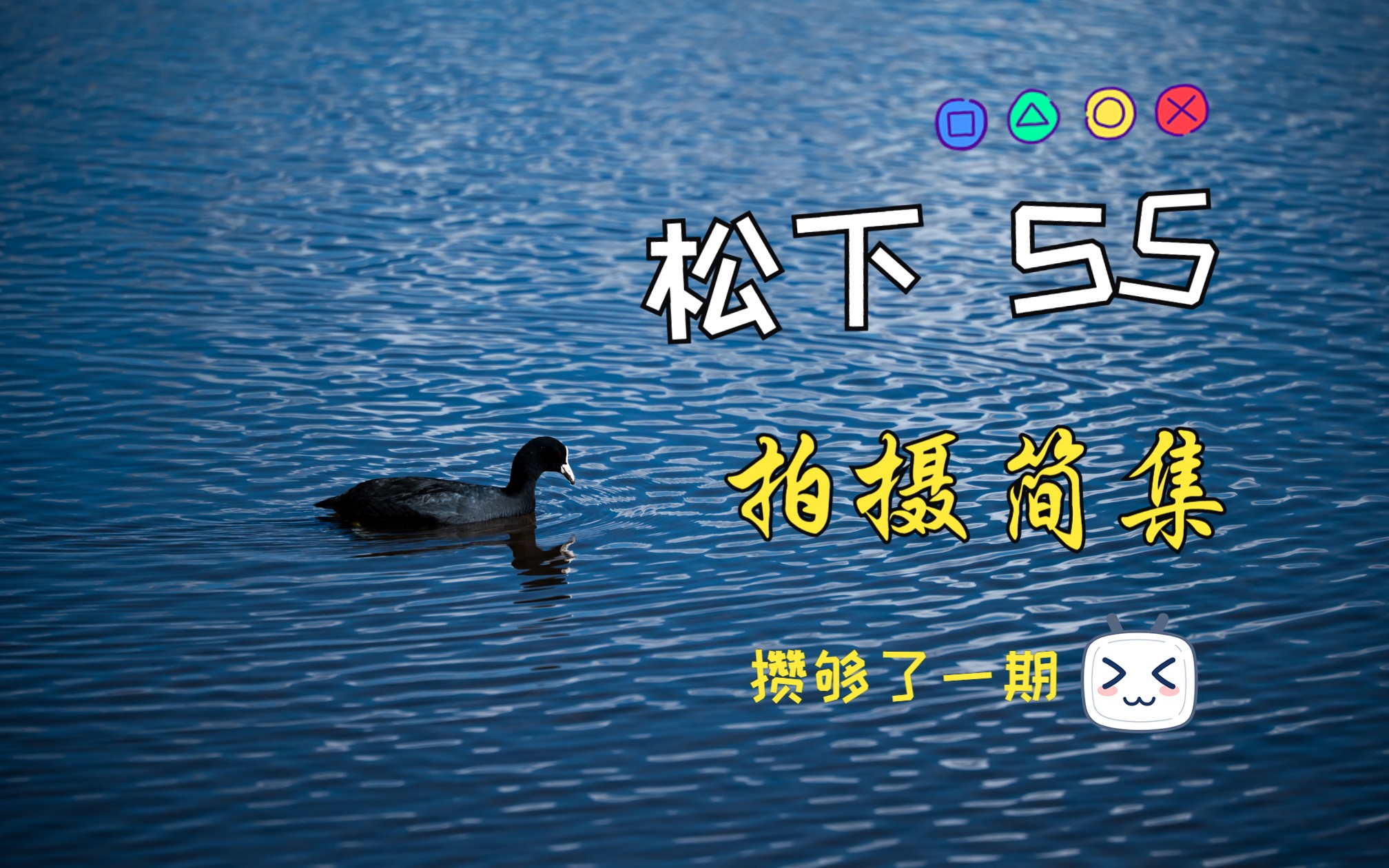 终于攒够了一些照片!11月的云南很赞!松下S5 摄影简集1哔哩哔哩bilibili