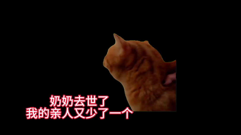 奶奶去世了 我的心情挺复杂的 想哭哭不出来 !
