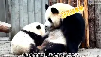 花花吃奶连着打了好几个喷嚏，这把干妈担心的不行