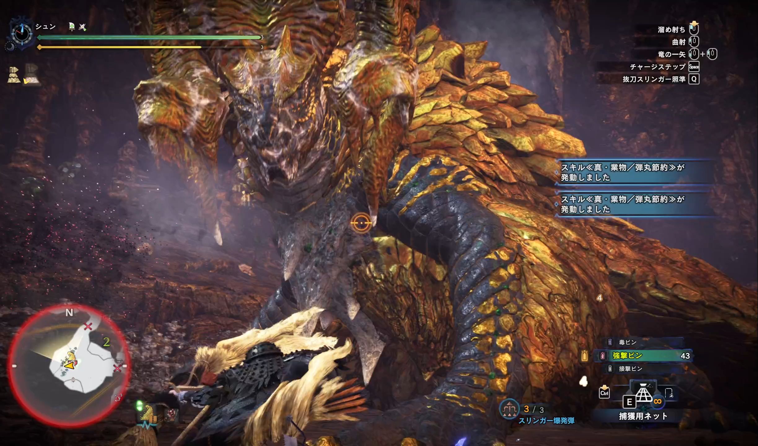 怪物猎人世界 绚辉龙