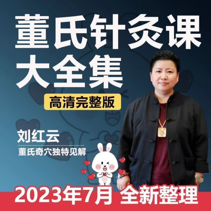 刘红云董氏针灸奇针刺血疗法穴位图常见疑难中医针灸教学大全集