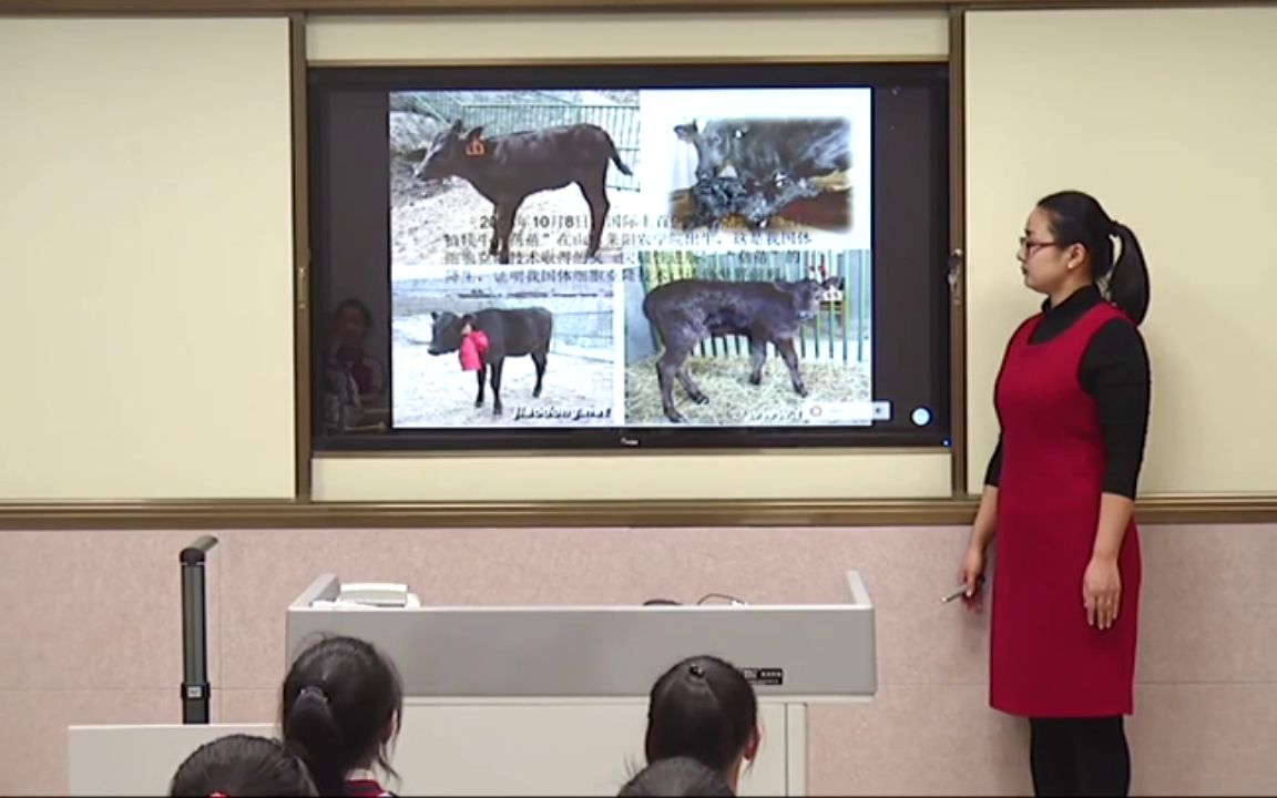 [图]【获奖】青岛版小学四年级数学上册_七信息窗二（小数加减混合运算）-栾老师公开课优质课视频获奖课件