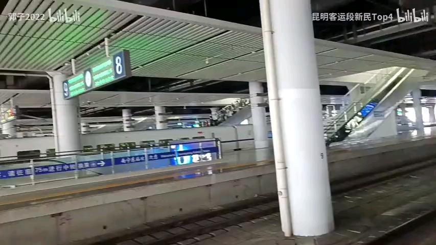 [图]NO.8 ℡耀斑～℡：直拍和谐号CRH2A4087动车D3838次，本务中国铁路昆明局集团有限公司担当