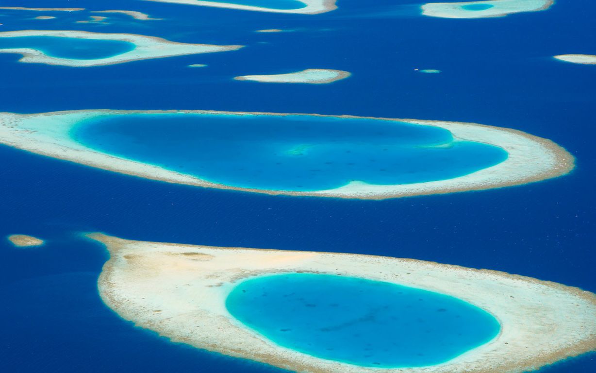 泡泡与大鱼 | 马尔代夫群岛的环礁(08 sakis papadopoulos/plain