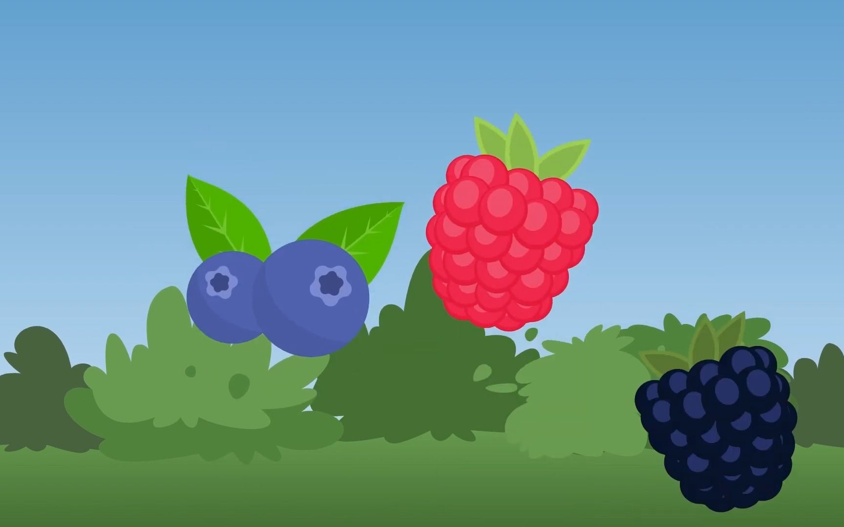 [图]Learn ALL About Berries That Grow On Bushes! - Basic Learning Songs For Kids - K