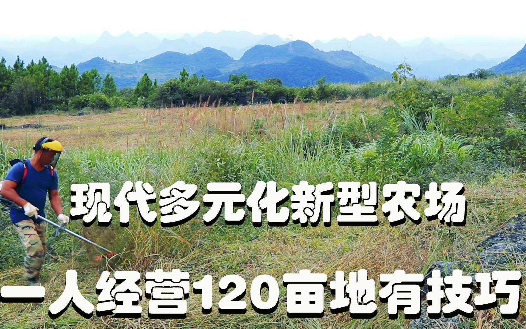 农村创业,现代多元化新型农场,一人经营120亩,方法值得学!哔哩哔哩bilibili