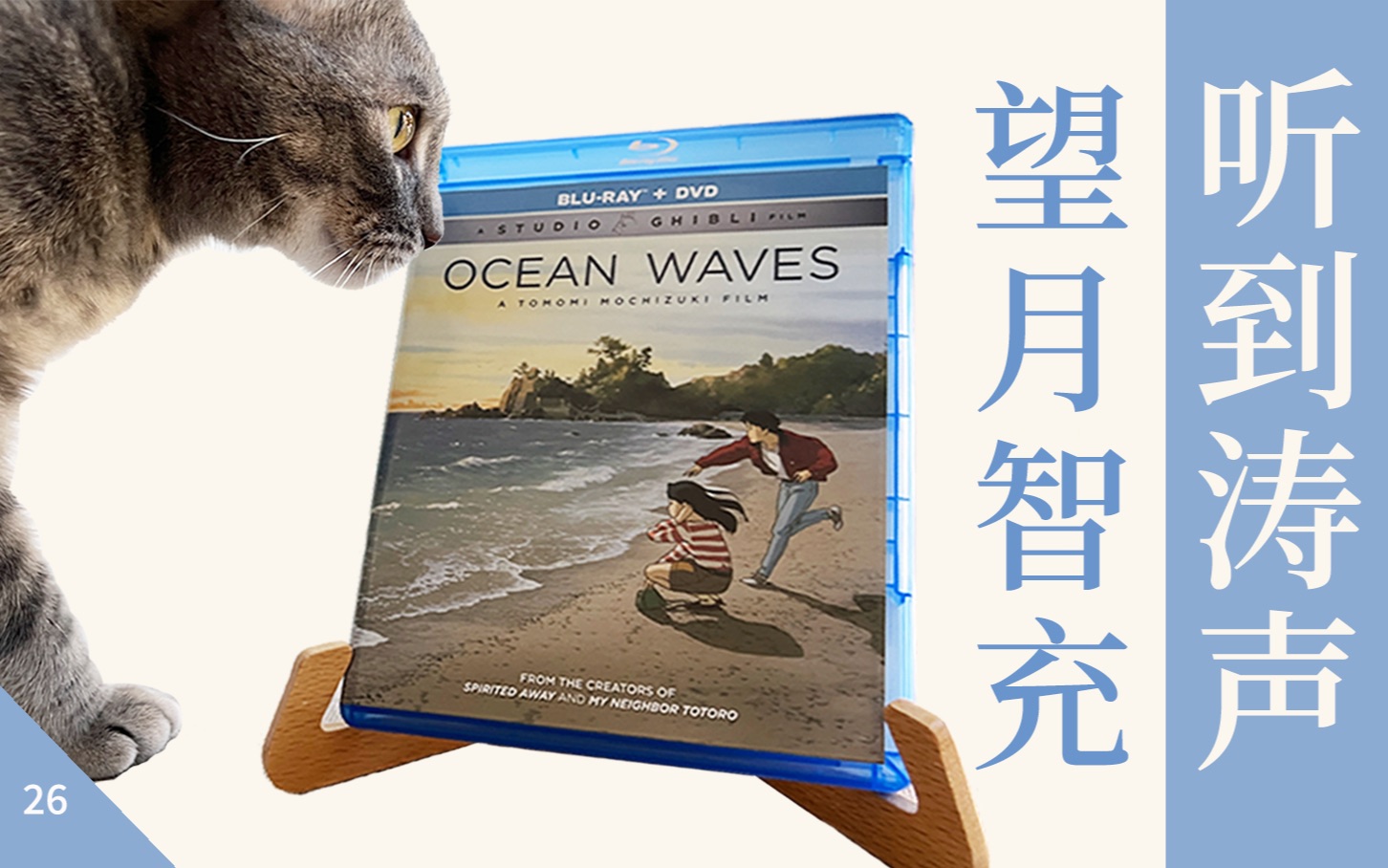 蓝光碟收藏｜《听到涛声》致那些「毕业后」才明白的爱情，吉卜力冷门必看动画片