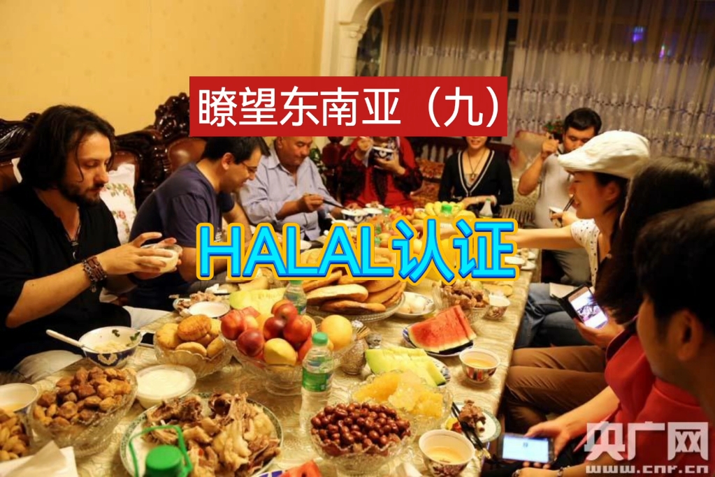 《老丁浅谈》143 瞭望东南亚 (九)HALAL认证哔哩哔哩bilibili