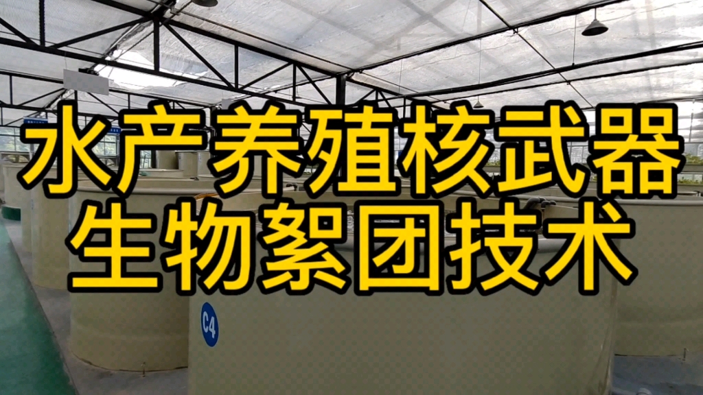 鱼菜高浅析现代水产养殖核武器生物絮团技术哔哩哔哩bilibili