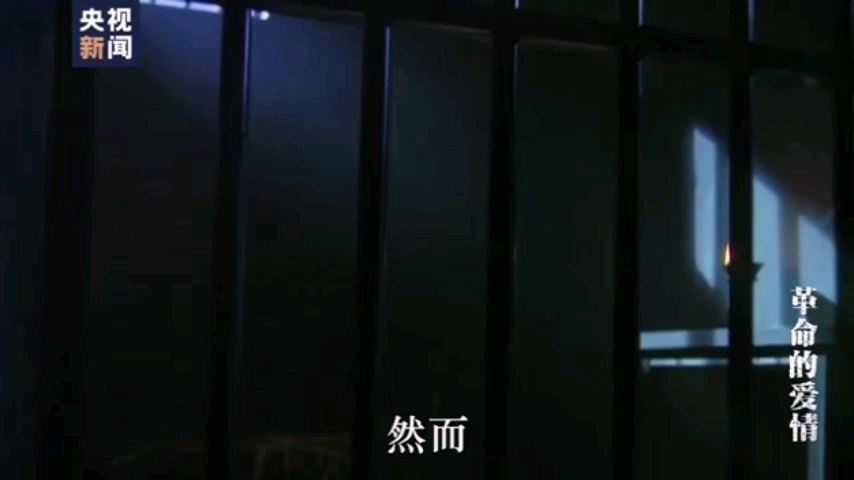 周文雍陈铁军刑场上的“结婚照”哔哩哔哩bilibili