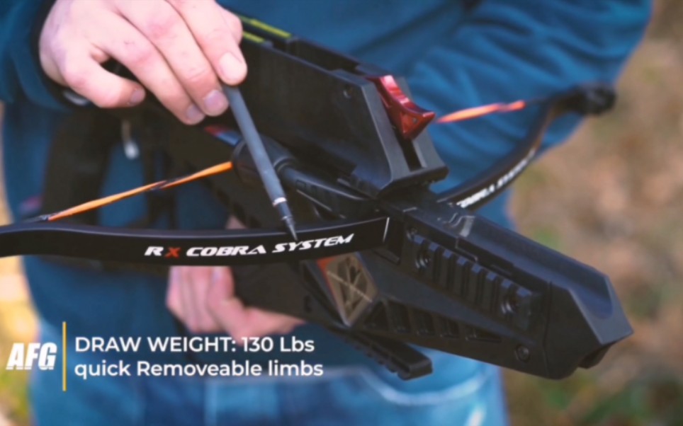 国外拍摄眼镜蛇反曲弩