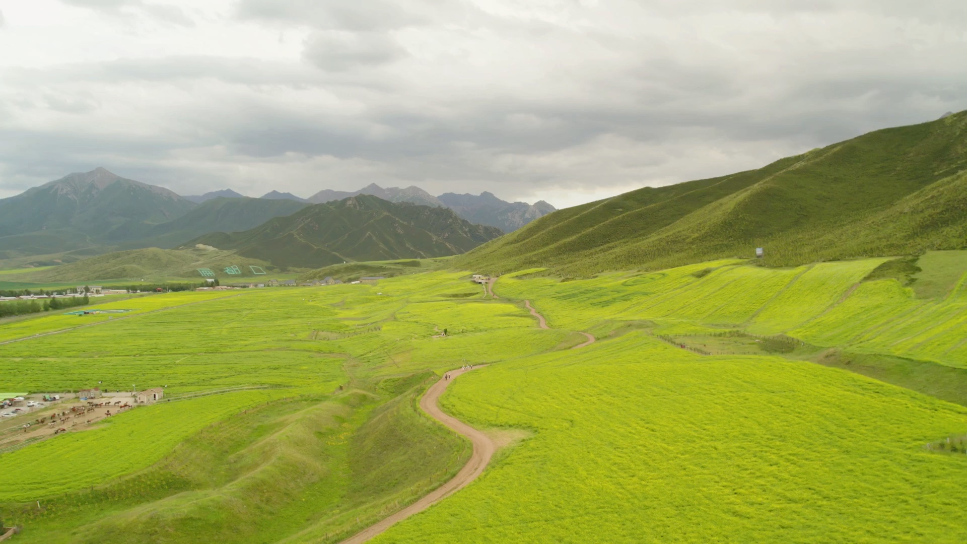 祁连山脚下的扁都口,如果都开满油菜花会怎样?