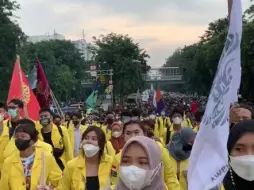 Download Video: 今天的雅加达，许多群众前往国会大厦和宪法大院。这是印尼大学的方队，入场。#印尼 #印尼国会 #印尼大学 #雅加达