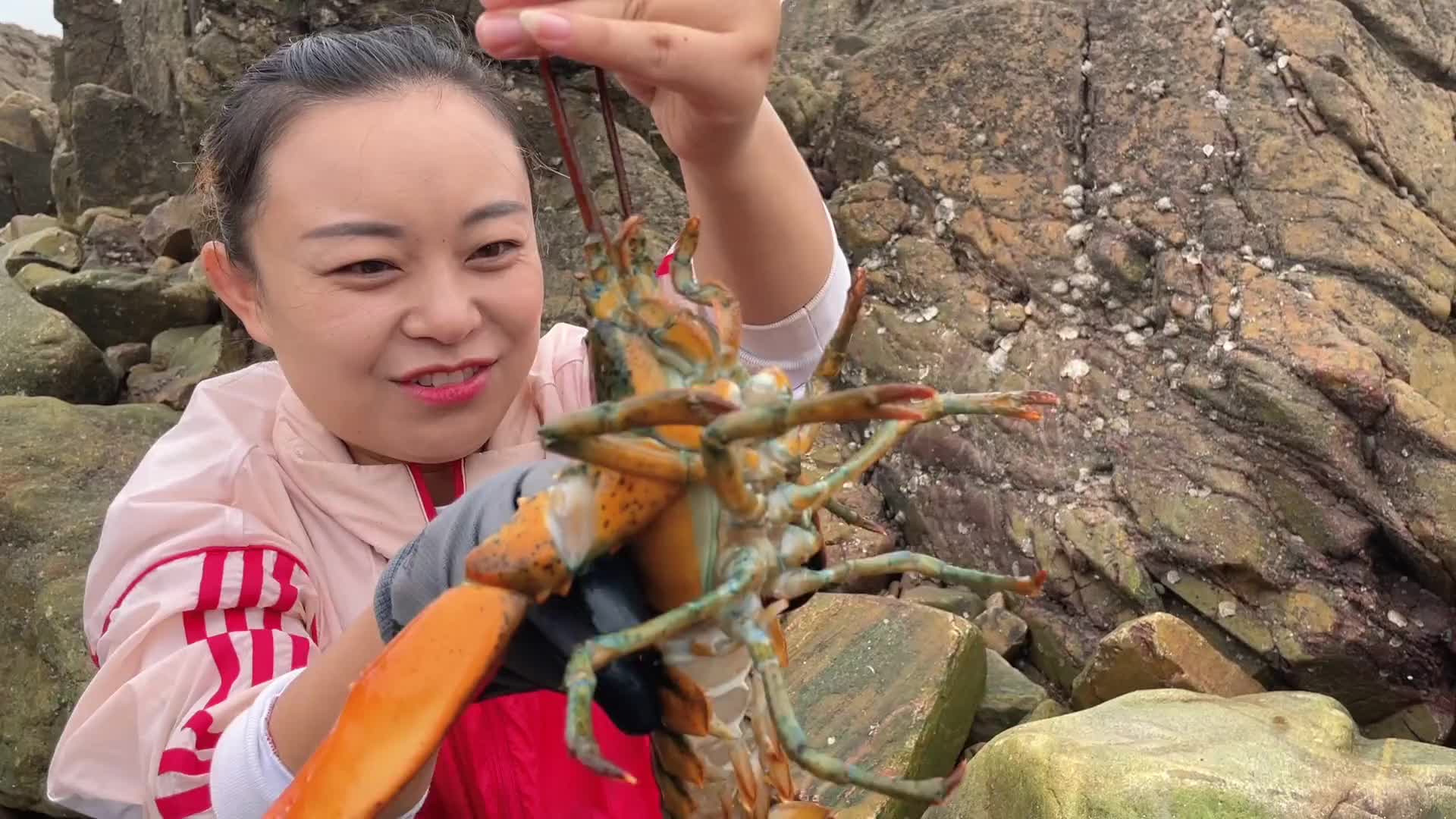 【聊三农】小章赶海误闯海鲜窝,名贵小青龙和凶猛石斑鱼纷纷拿下!