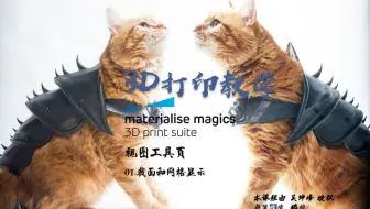 3D打印软件Magics 19使用教程_视图工具页 01.截面和网格显示