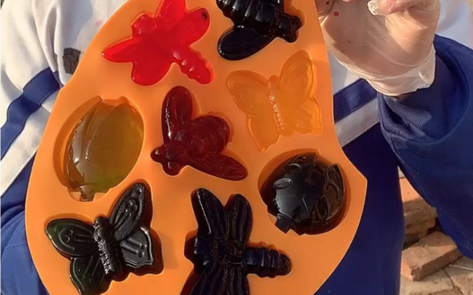 小朋友今天吃个昆虫果冻