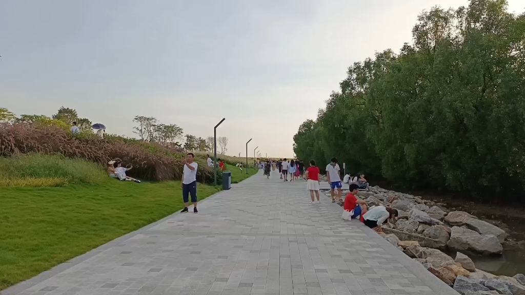 东莞长安滨海公园,夏天游玩