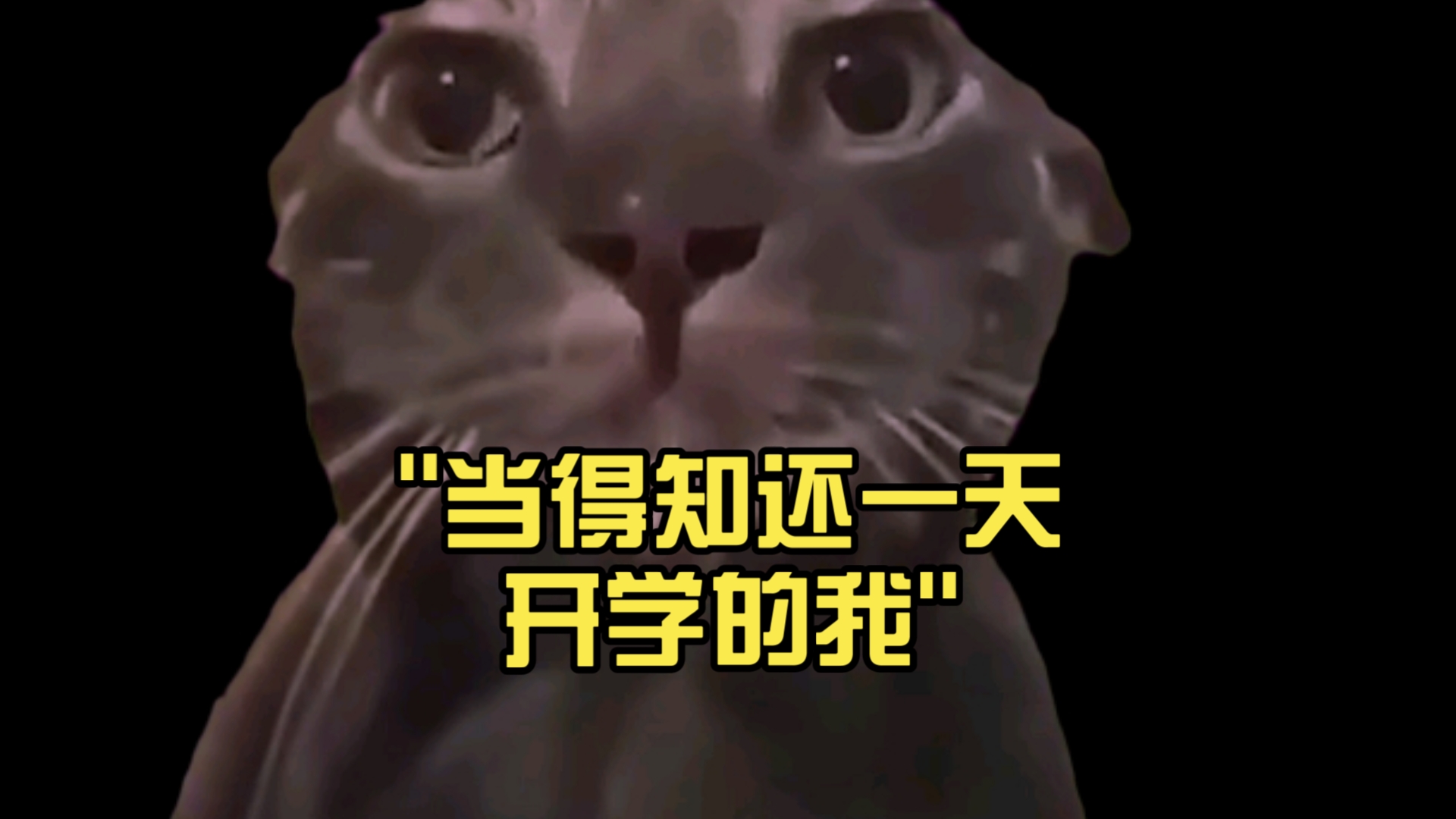 当得知还一天开学的我