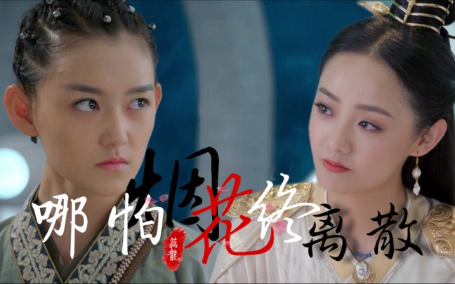 【藕龙夫妇】哪怕烟花终离散_哔哩哔哩_bilibili